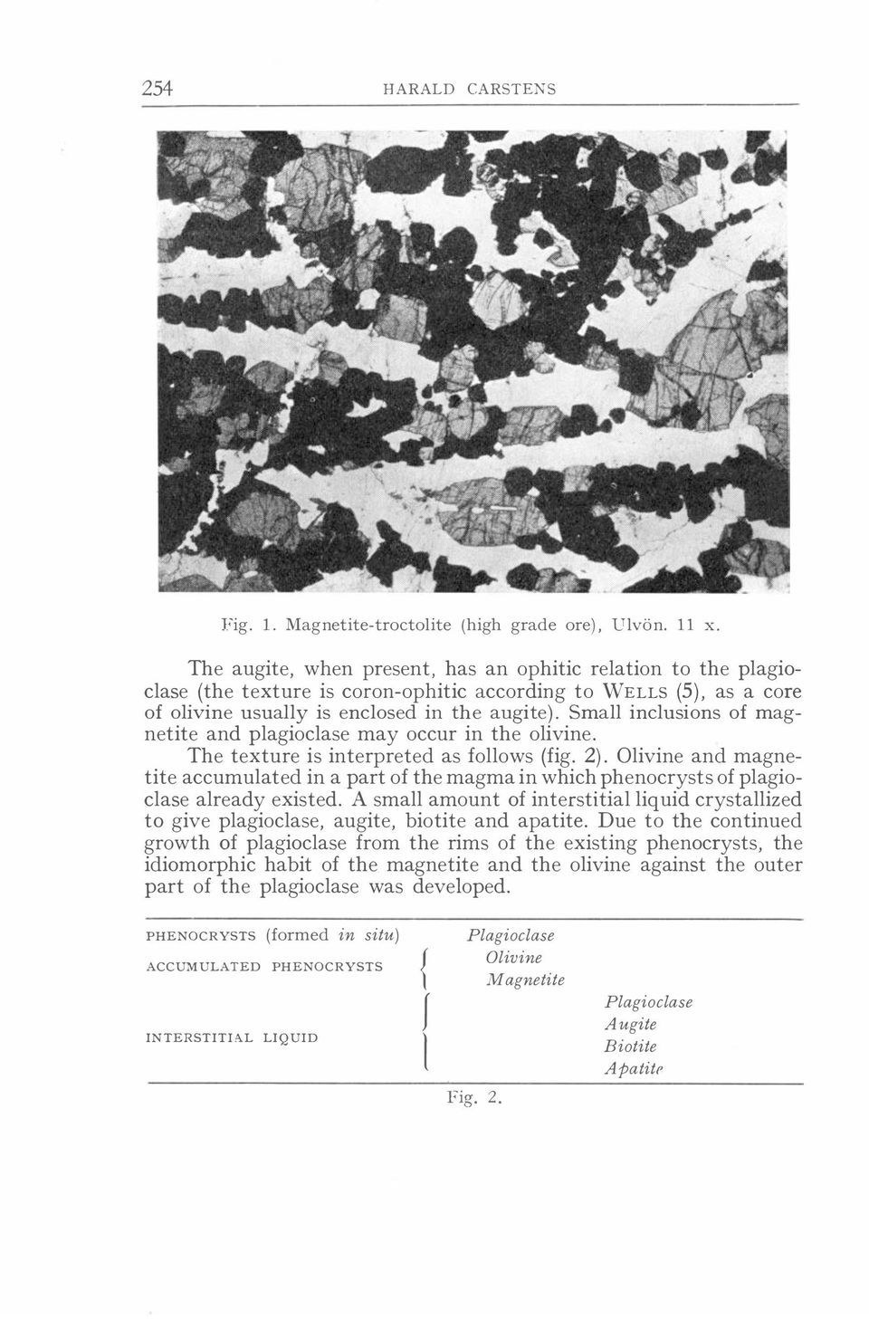 Small inclusions of magnetite and plagioclase may occur in the olivine. The texture is interpreted as follows (fig. 2).