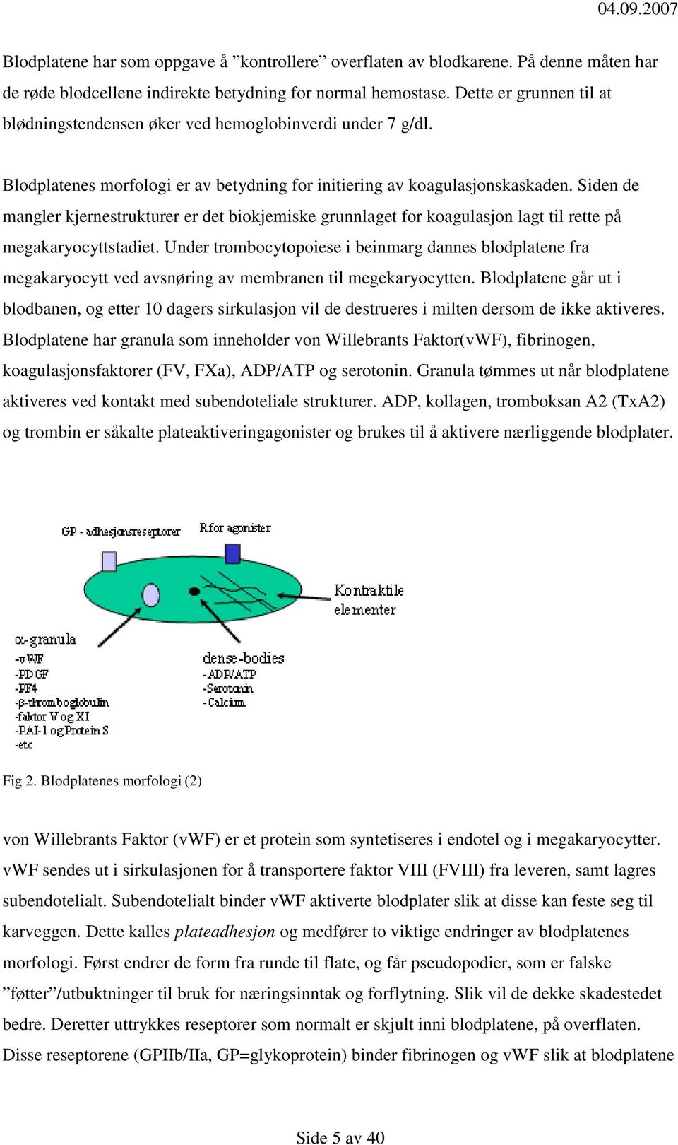 Siden de mangler kjernestrukturer er det biokjemiske grunnlaget for koagulasjon lagt til rette på megakaryocyttstadiet.