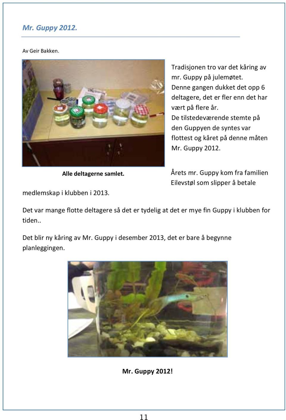 De tilstedeværende stemte på den Guppyen de syntes var flottest og kåret på denne måten Mr. Guppy 2012. Alle deltagerne samlet.