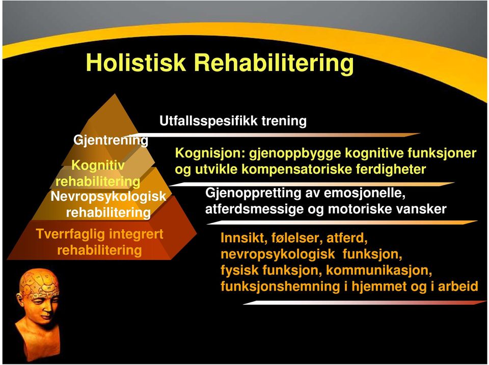 kompensatoriske ferdigheter Gjenoppretting av emosjonelle, atferdsmessige og motoriske vansker Innsikt,