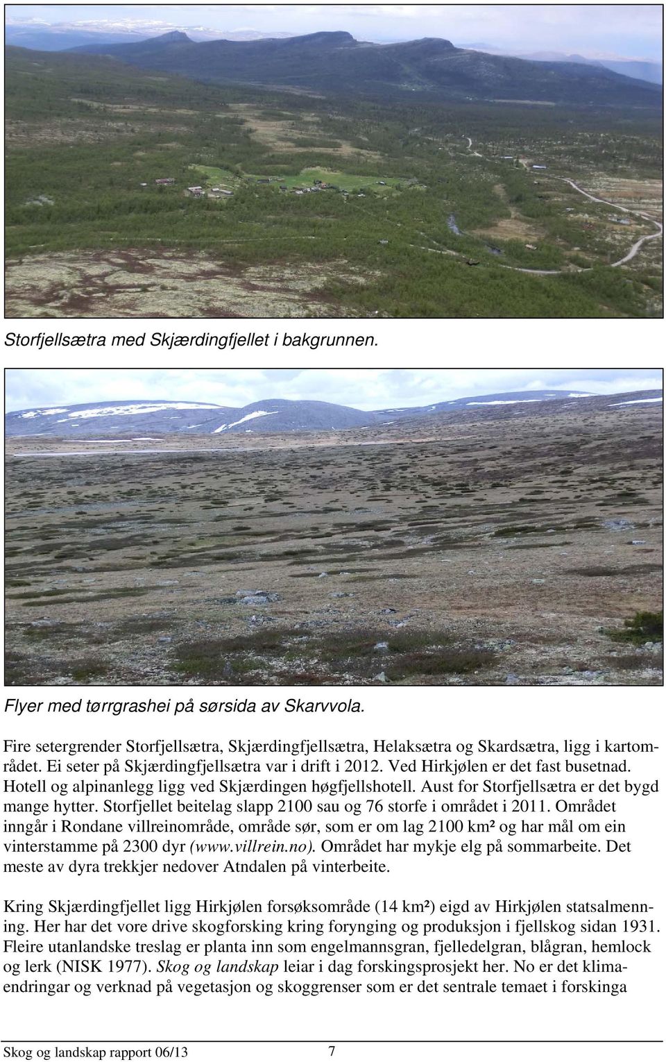 Storfjellet beitelag slapp 2100 sau og 76 storfe i området i 2011. Området inngår i Rondane villreinområde, område sør, som er om lag 2100 km² og har mål om ein vinterstamme på 2300 dyr (www.villrein.no).