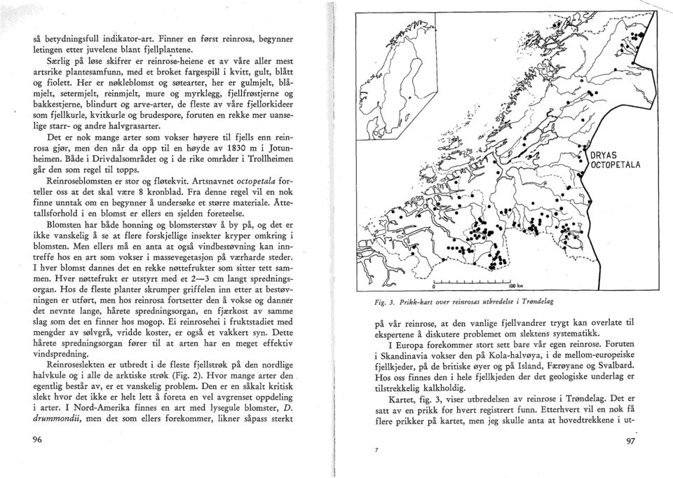 Her er nøkleblomst og søtearter, her er gulmjelt, blåmjelt, setermjelt, reinmjelt, mure og myrklegg, fjellfrøstjerne og bakkestjerne, blindurt og arve-arter, de fleste av våre fjellorkideer som