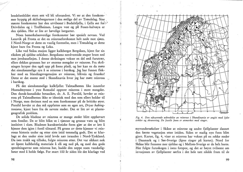 Noen bemerkelsesverdige forekomster bør spesielt nevnes. Ved Lensvik på Frosta er det en reinroseforekomst helt nede mot sjøen.