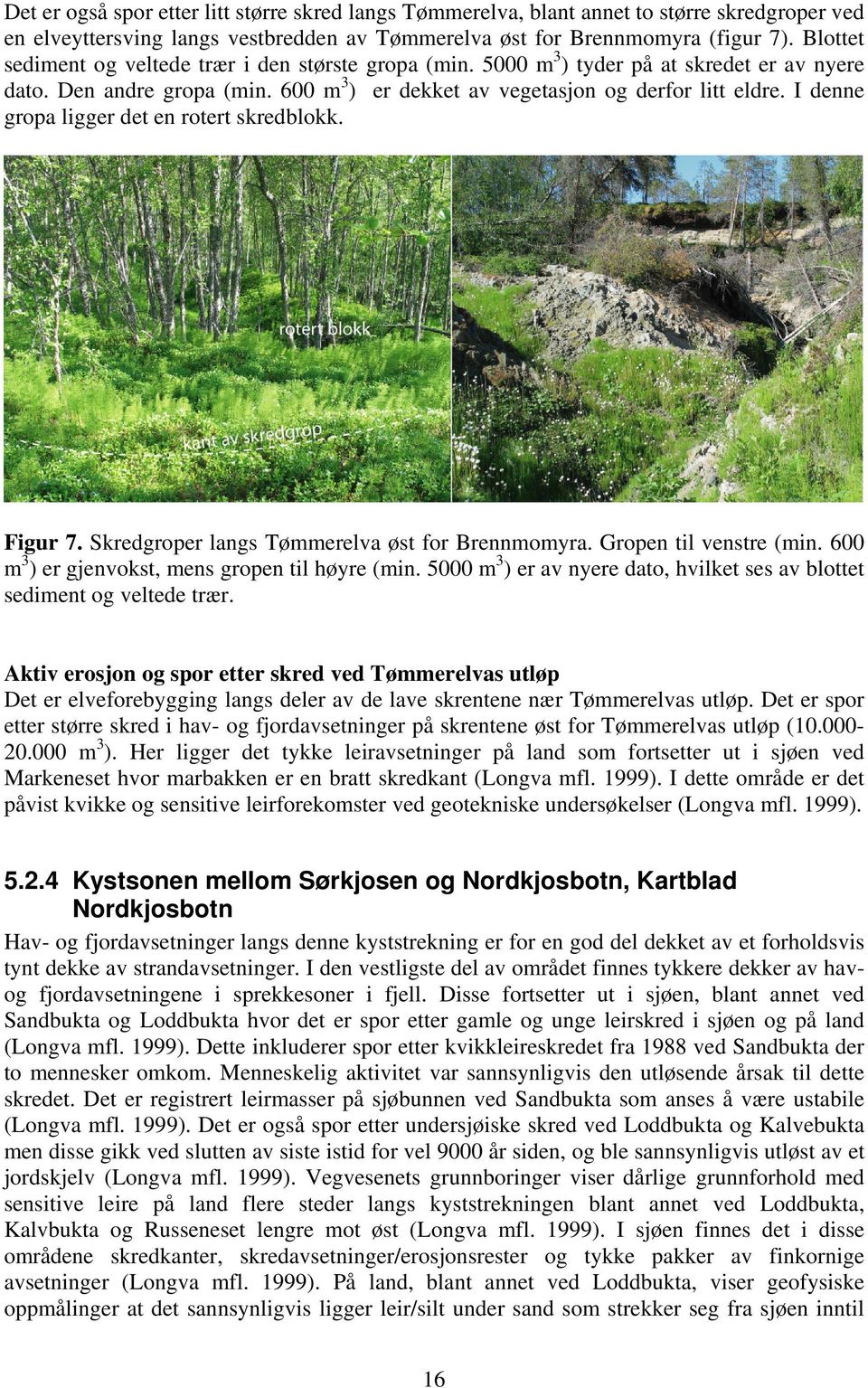 I denne gropa ligger det en rotert skredblokk. Figur 7. Skredgroper langs Tømmerelva øst for Brennmomyra. Gropen til venstre (min. 600 m 3 ) er gjenvokst, mens gropen til høyre (min.