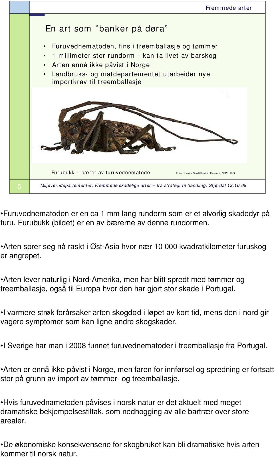 Furubukk (bildet) er en av bærerne av denne rundormen. Arten sprer seg nå raskt i Øst-Asia hvor nær 10 000 kvadratkilometer furuskog er angrepet.