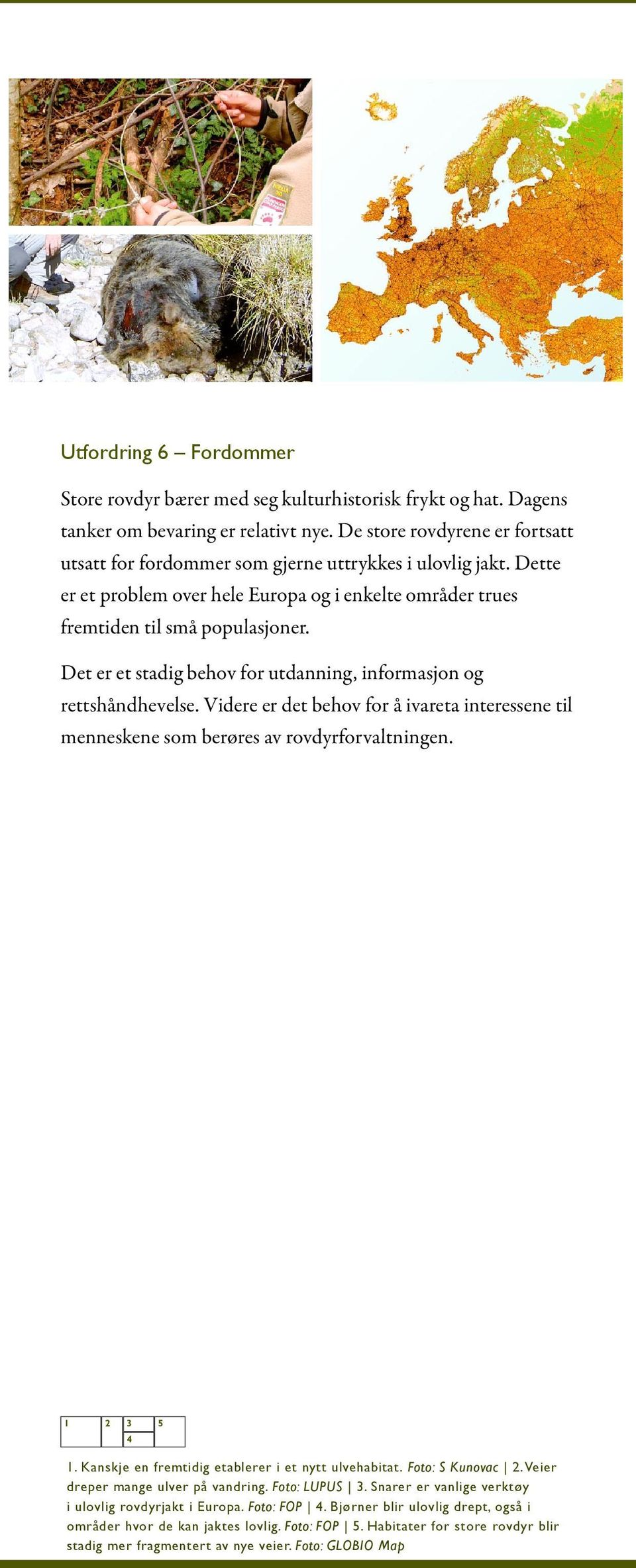 Det er et stadig behov for utdanning, informasjon og rettshåndhevelse. Videre er det behov for å ivareta interessene til menneskene som berøres av rovdyrforvaltningen. 1 2 3 5 4 1.