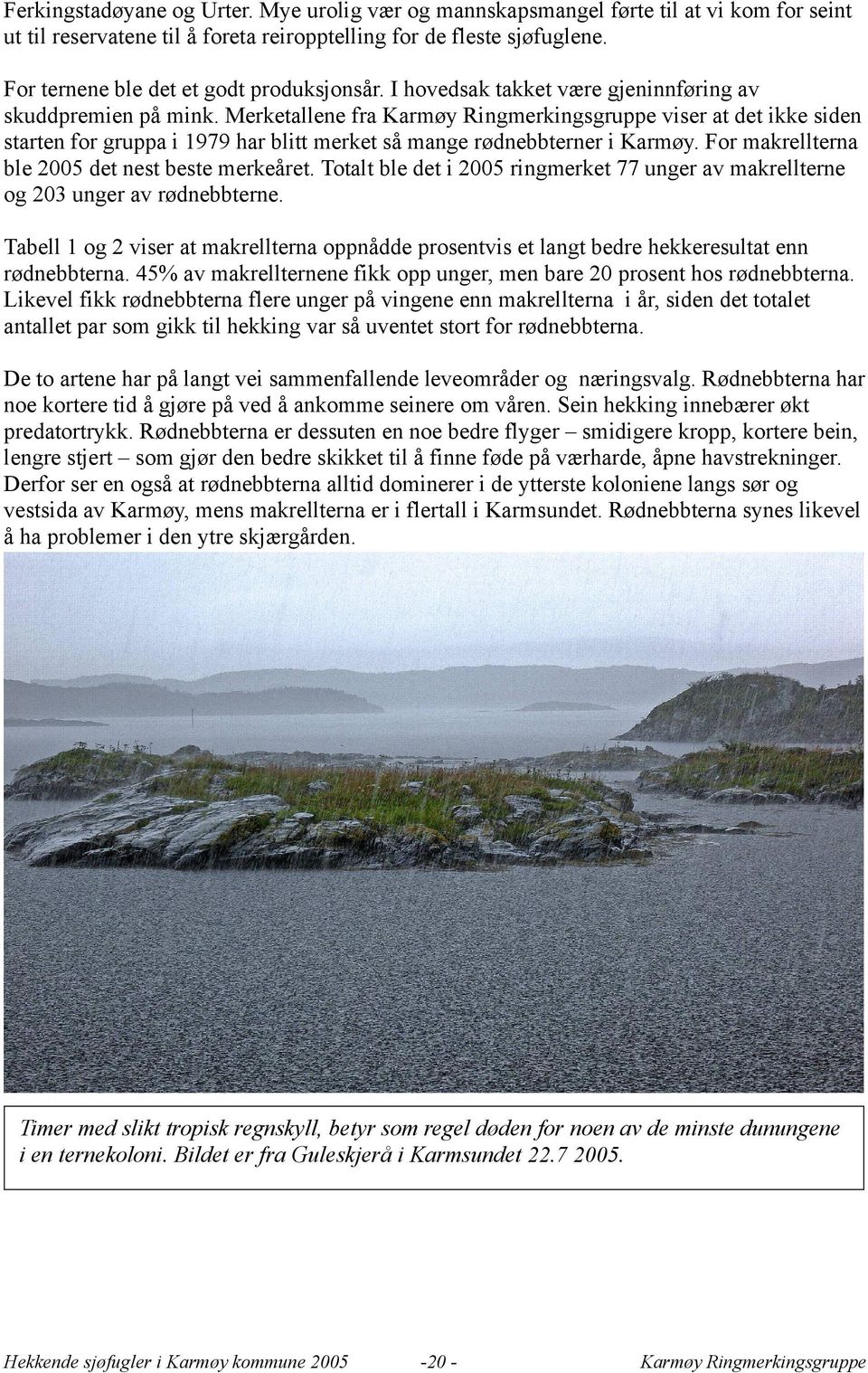 Merketallene fra viser at det ikke siden starten for gruppa i 1979 har blitt merket så mange rødnebbterner i Karmøy. For makrellterna ble 2005 det nest beste merkeåret.