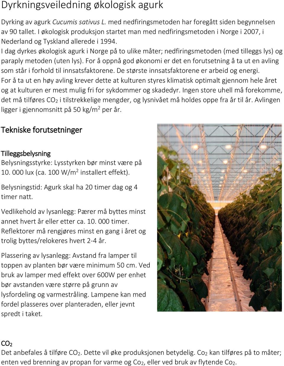 I dag dyrkes økologisk agurk i Norge på to ulike måter; nedfiringsmetoden (med tilleggs lys) og paraply metoden (uten lys).