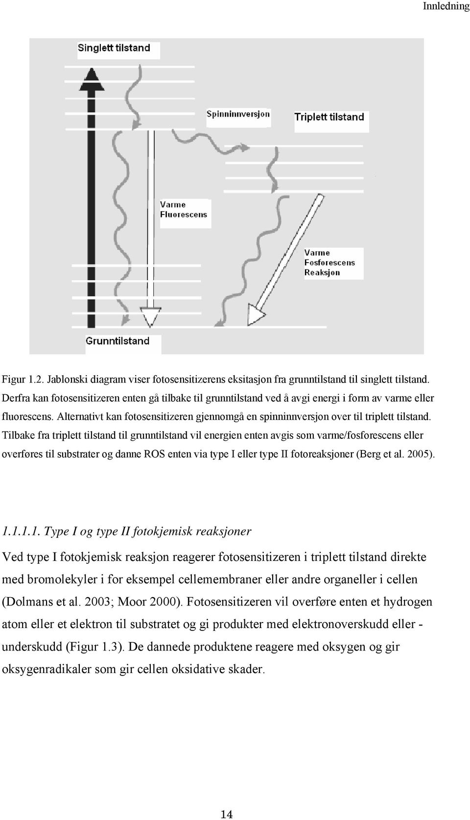 Alternativt kan fotosensitizeren gjennomgå en spinninnversjon over til triplett tilstand.