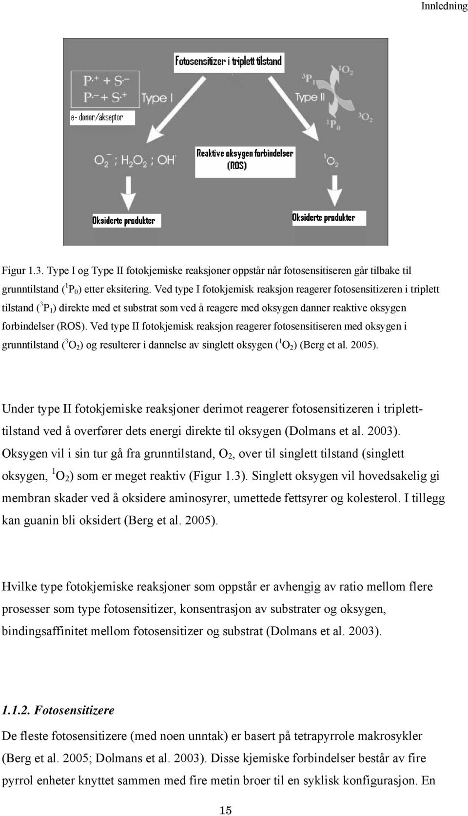 Ved type II fotokjemisk reaksjon reagerer fotosensitiseren med oksygen i grunntilstand ( 3 O 2 ) og resulterer i dannelse av singlett oksygen ( 1 O 2 ) (Berg et al. 2005).