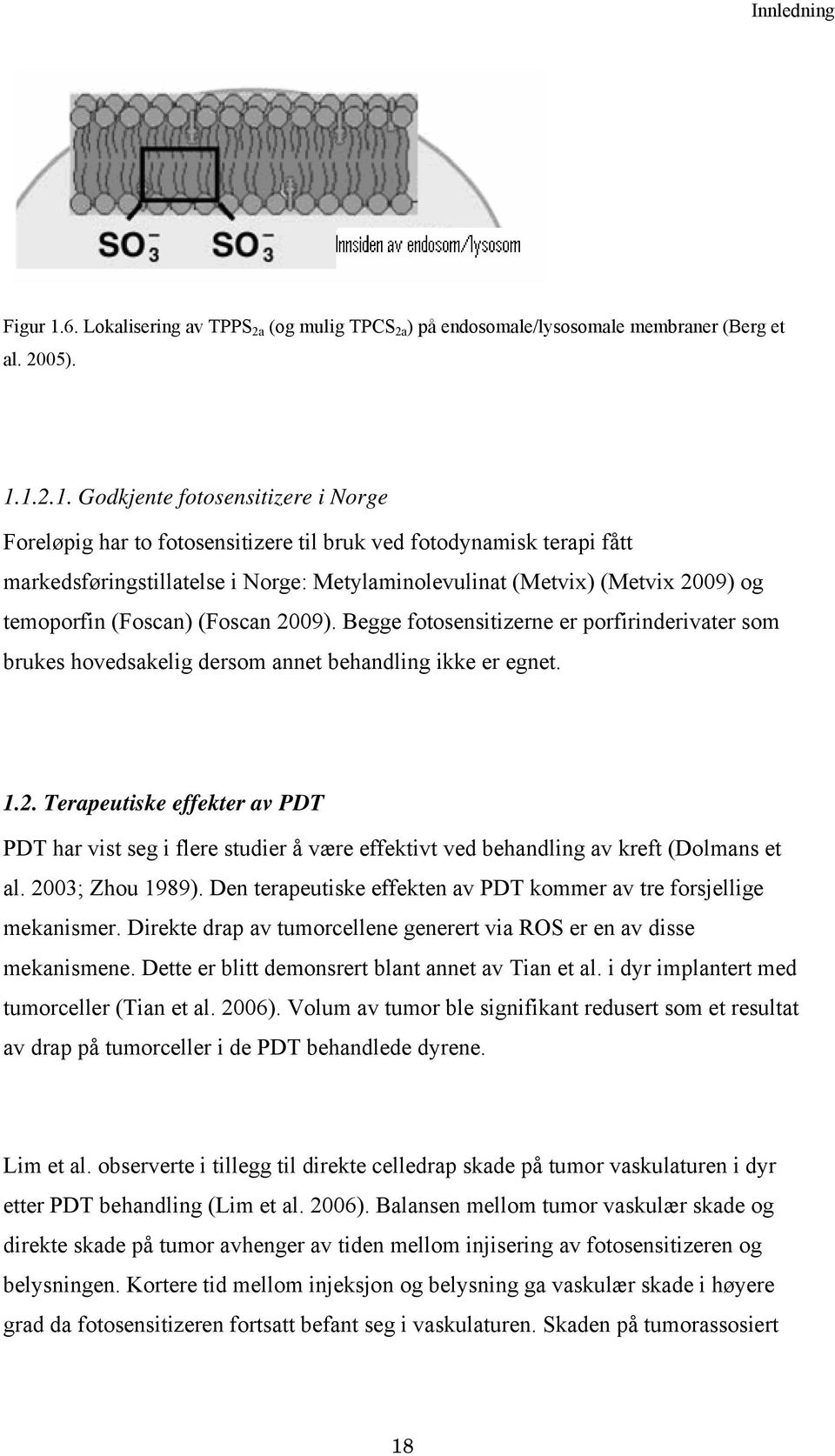 1.2.1. Godkjente fotosensitizere i Norge Foreløpig har to fotosensitizere til bruk ved fotodynamisk terapi fått markedsføringstillatelse i Norge: Metylaminolevulinat (Metvix) (Metvix 2009) og