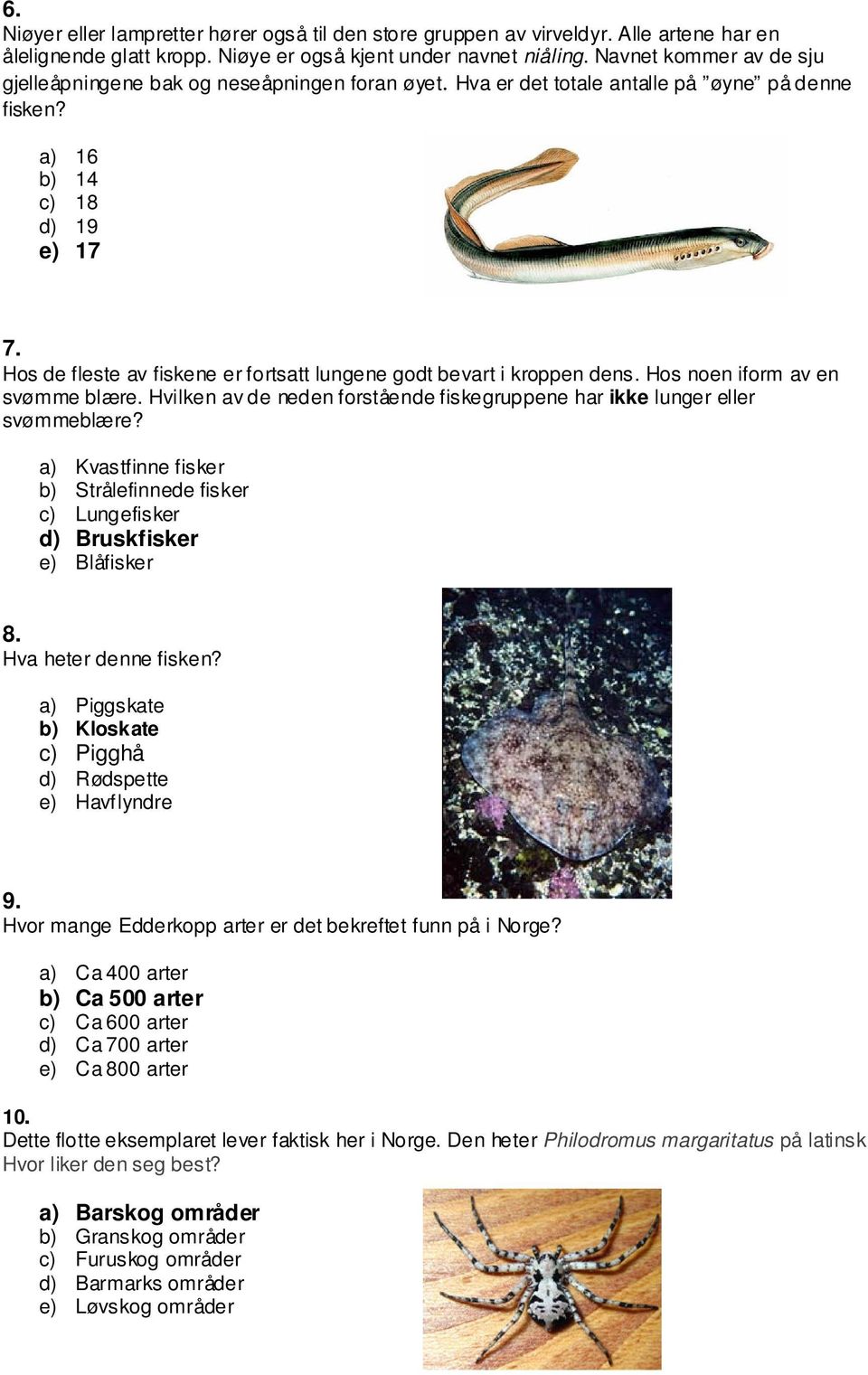 Hos de fleste av fiskene er fortsatt lungene godt bevart i kroppen dens. Hos noen iform av en svømme blære. Hvilken av de neden forstående fiskegruppene har ikke lunger eller svømmeblære?