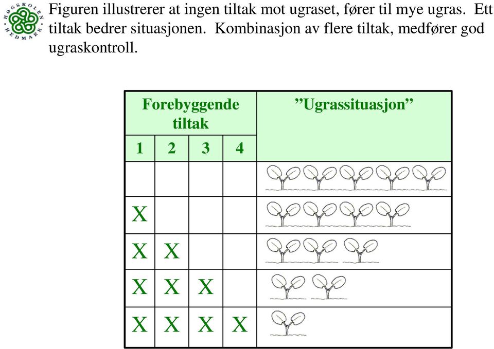 Kombinasjon av flere tiltak, medfører god