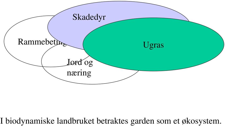 biodynamiske landbruket