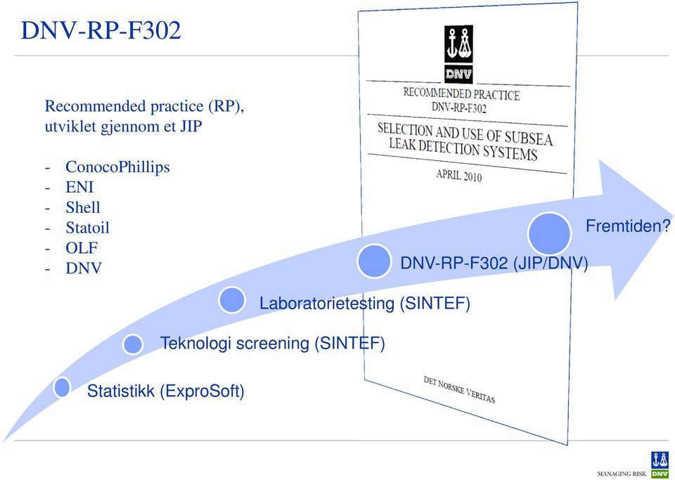 DNV DNV-RP-F302 (JIP/DNV) Fremtiden?