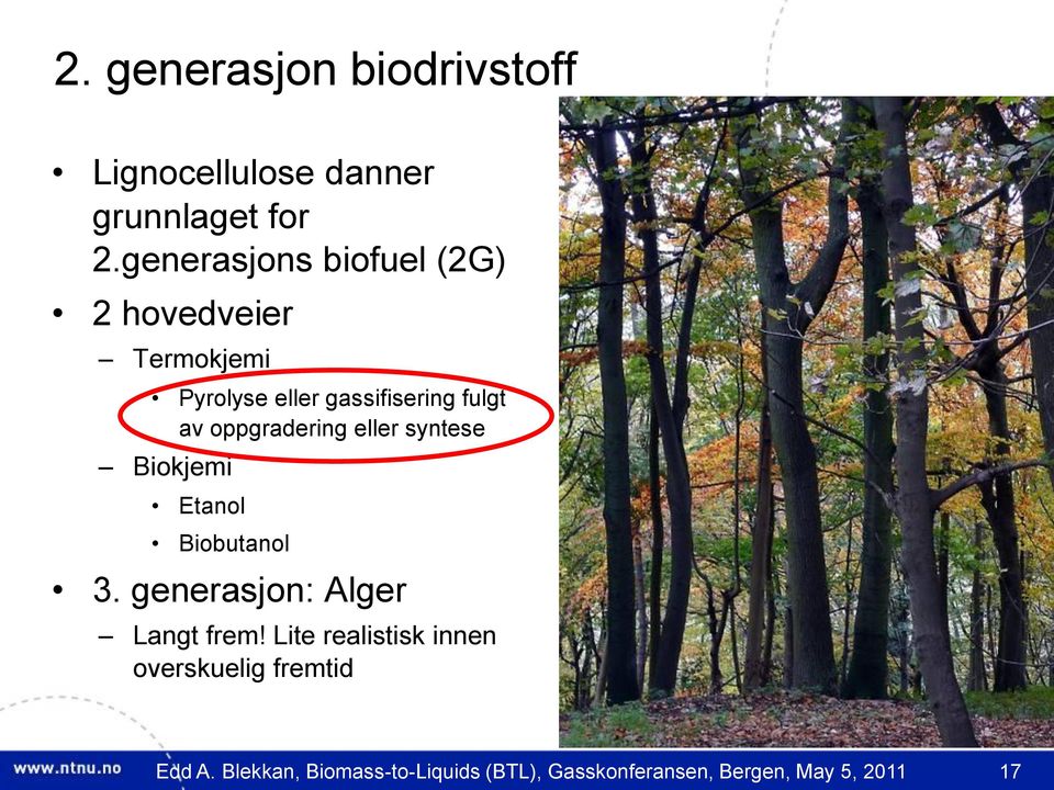 oppgradering eller syntese Biokjemi Etanol Biobutanol 3. generasjon: Alger Langt frem!