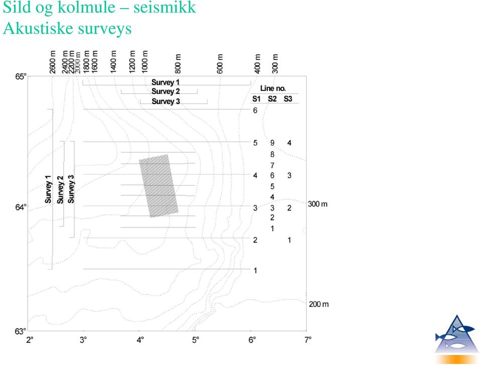 seismikk