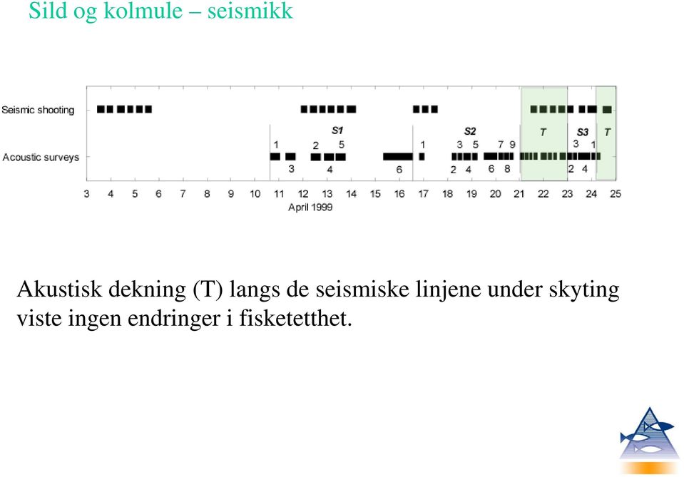 seismiske linjene under skyting