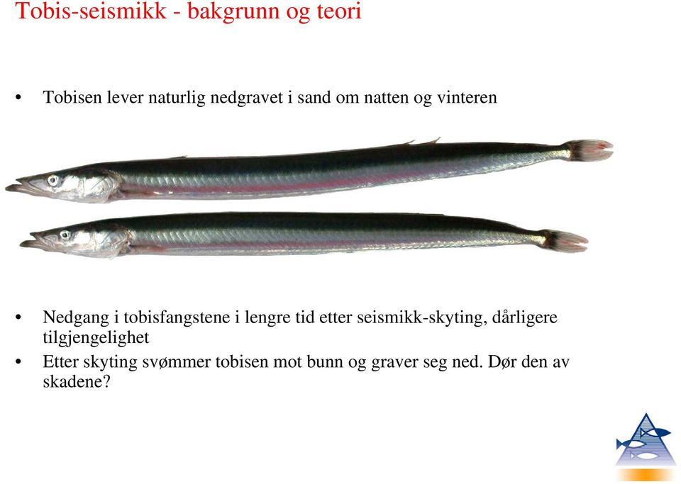 lengre tid etter seismikk-skyting, dårligere tilgjengelighet Etter