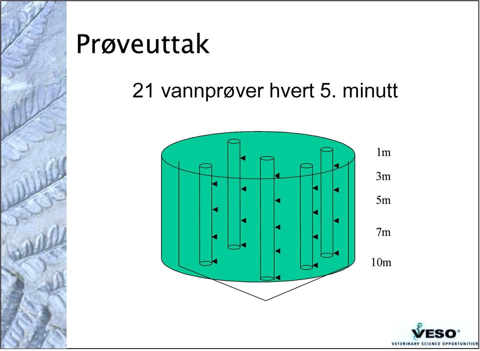 hvert 5.