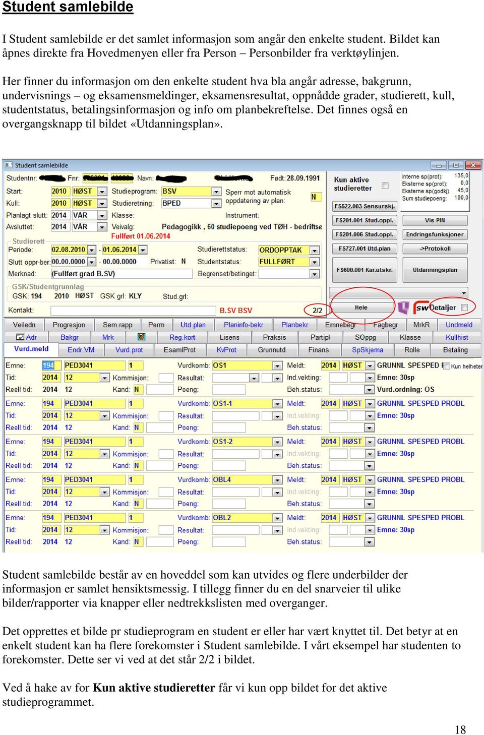 betalingsinformasjon og info om planbekreftelse. Det finnes også en overgangsknapp til bildet «Utdanningsplan».