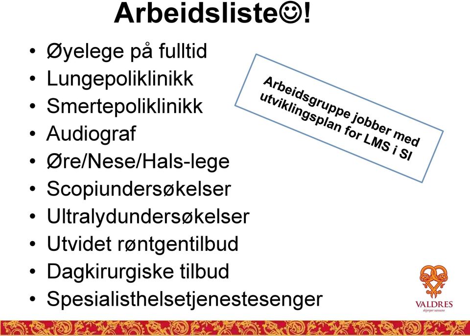 Smertepoliklinikk Audiograf Øre/Nese/Hals-lege