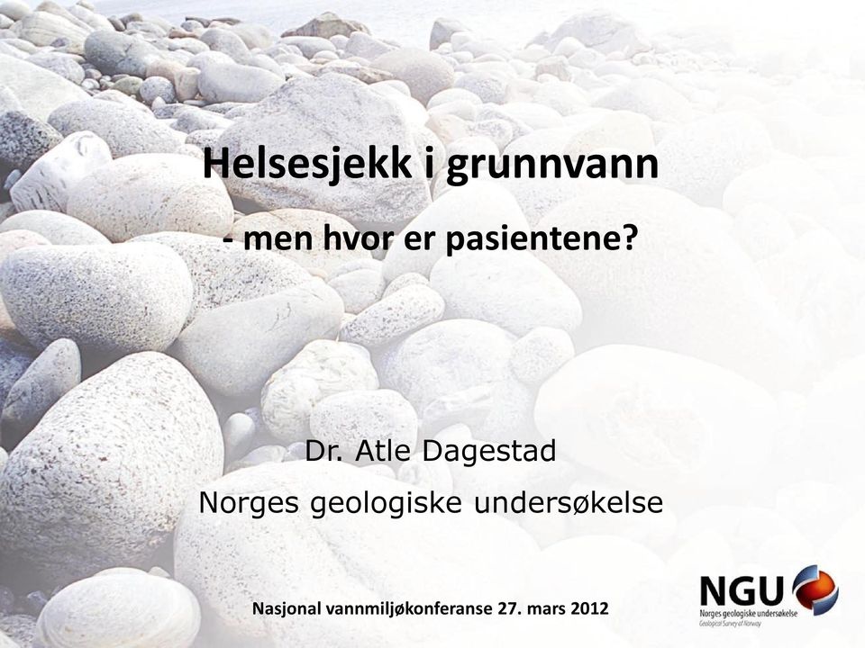 Atle Dagestad Norges geologiske