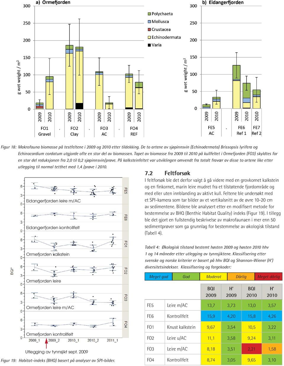 Tapet av biomasse fra 2009 til 2010 på kullfeltet i Ormefjorden (FO3) skyldtes for en stor del reduksjonen fra 2,0 til 0,2 sjøpinnsvin/prøve.