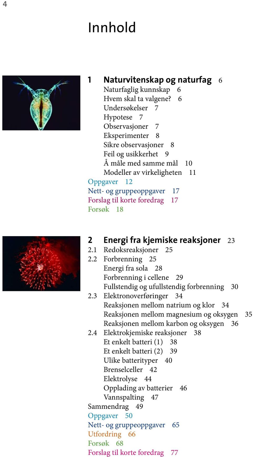 Forslag til korte foredrag 17 Forsøk 18 2 Energi fra kjemiske reaksjoner 23 2.1 Redoksreaksjoner 25 2.