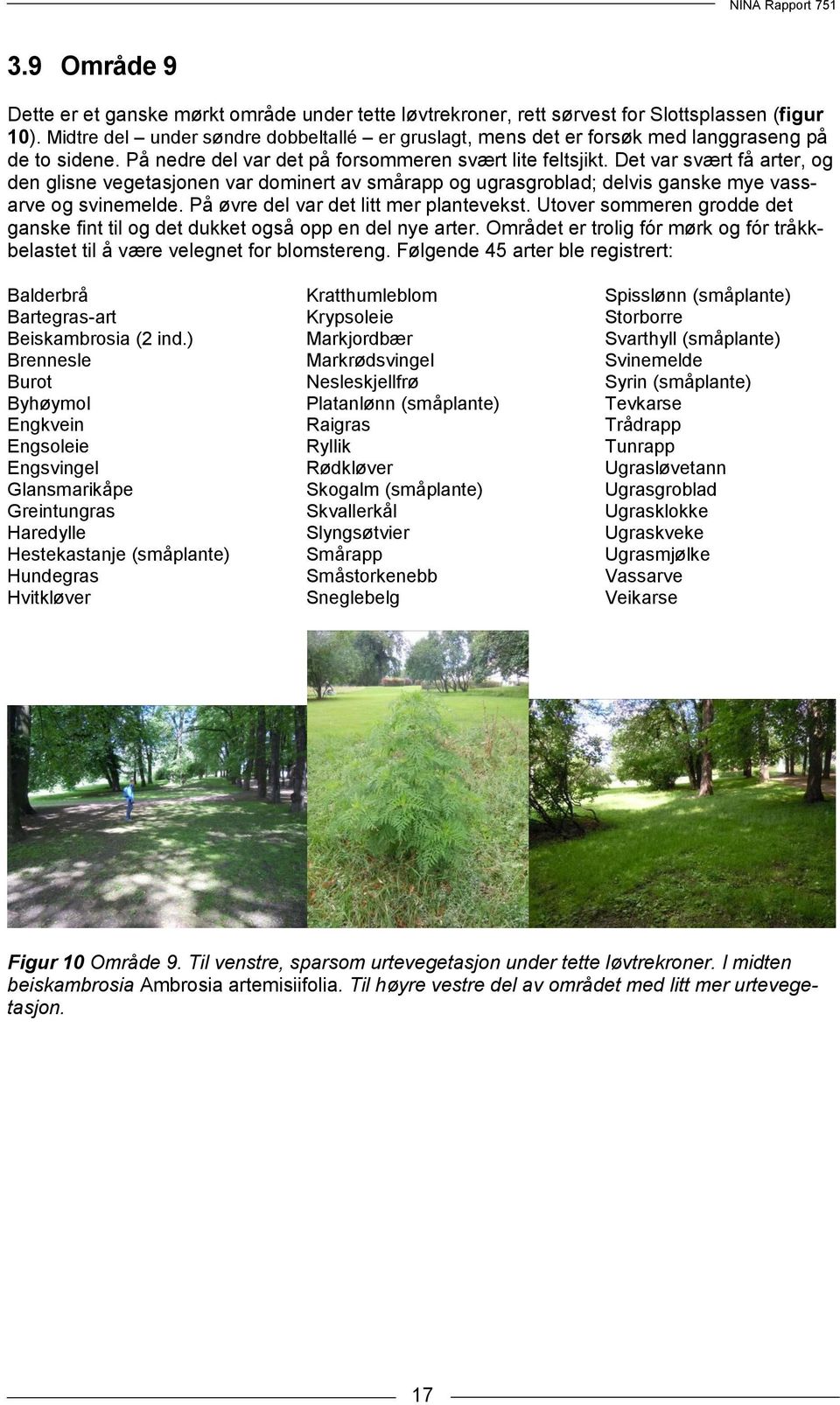 Det var svært få arter, og den glisne vegetasjonen var dominert av smårapp og ugrasgroblad; delvis ganske mye vassarve og svinemelde. På øvre del var det litt mer plantevekst.