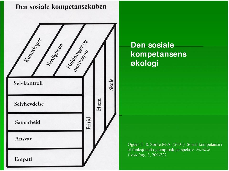 Sosial kompetanse i et funksjonelt og