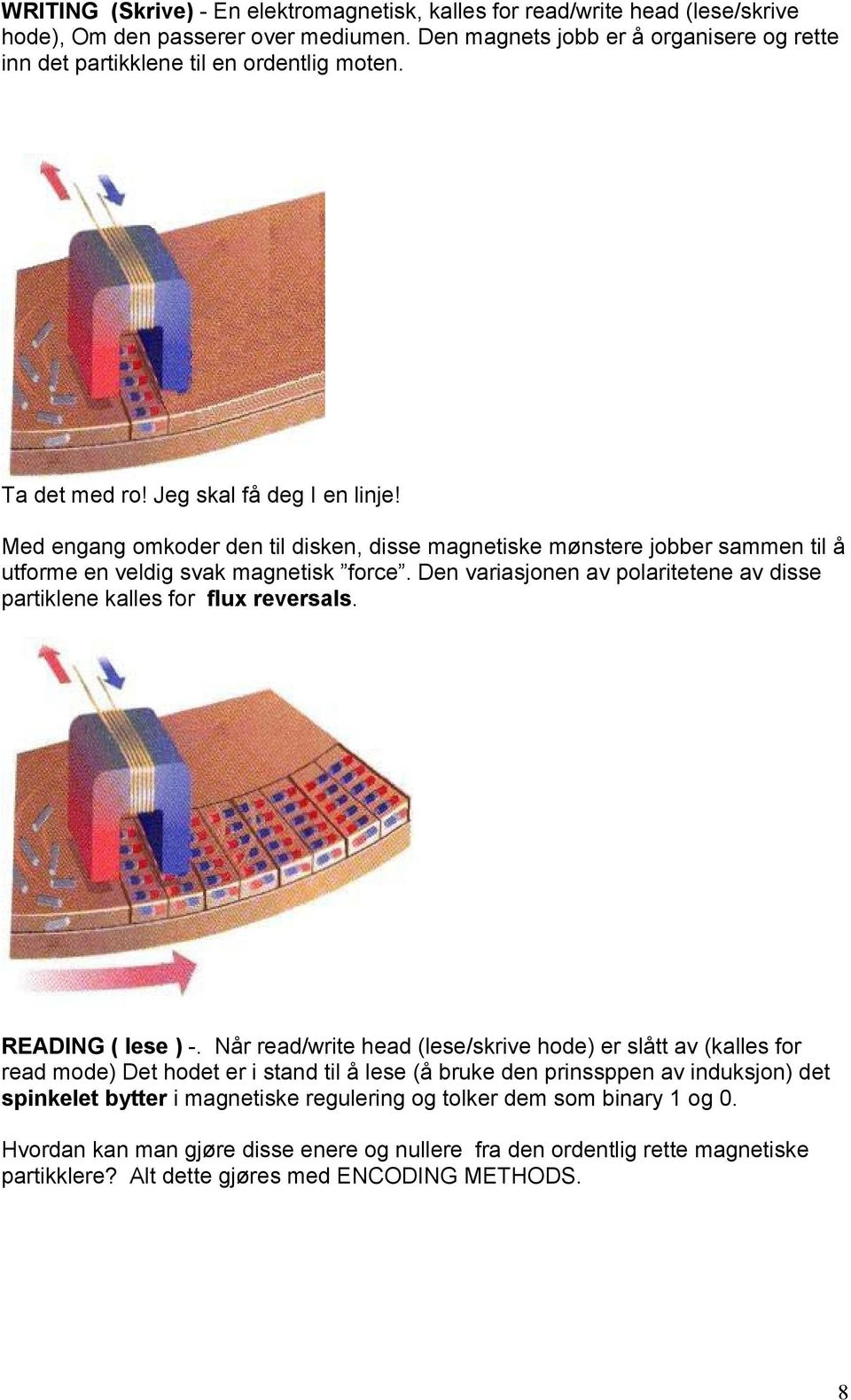 Med engang omkoder den til disken, disse magnetiske mønstere jobber sammen til å utforme en veldig svak magnetisk force. Den variasjonen av polaritetene av disse partiklene kalles for flux reversals.