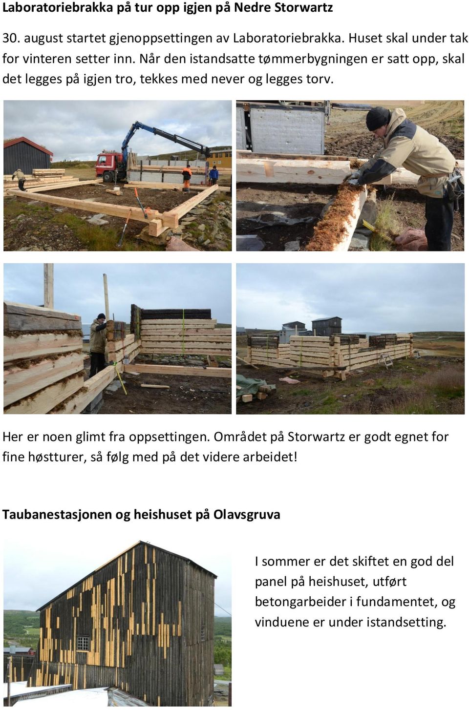 Når den istandsatte tømmerbygningen er satt opp, skal det legges på igjen tro, tekkes med never og legges torv.