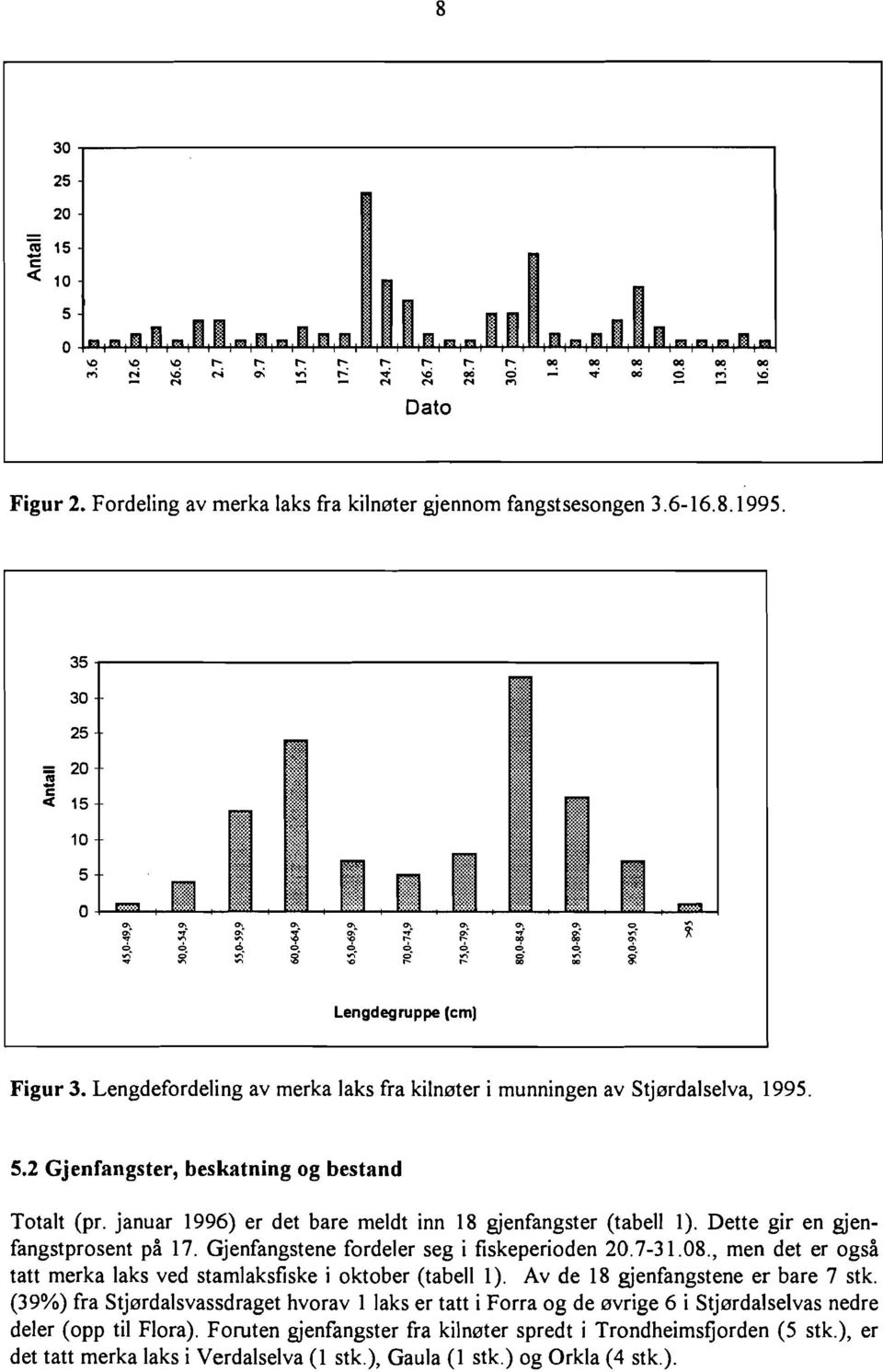 Lengdefordeling av merka laks fra kilnøter i munningen av Stjørdalselva, 1995. 5.2 Gjenfangster, beskatning og bestand Totalt (pr. januar 1996) er det bare meldt inn 18 gjenfangster (tabell l).