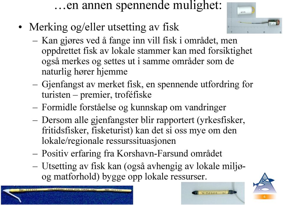 troféfiske Formidle forståelse og kunnskap om vandringer Dersom alle gjenfangster blir rapportert (yrkesfisker, fritidsfisker, fisketurist) kan det si oss mye om