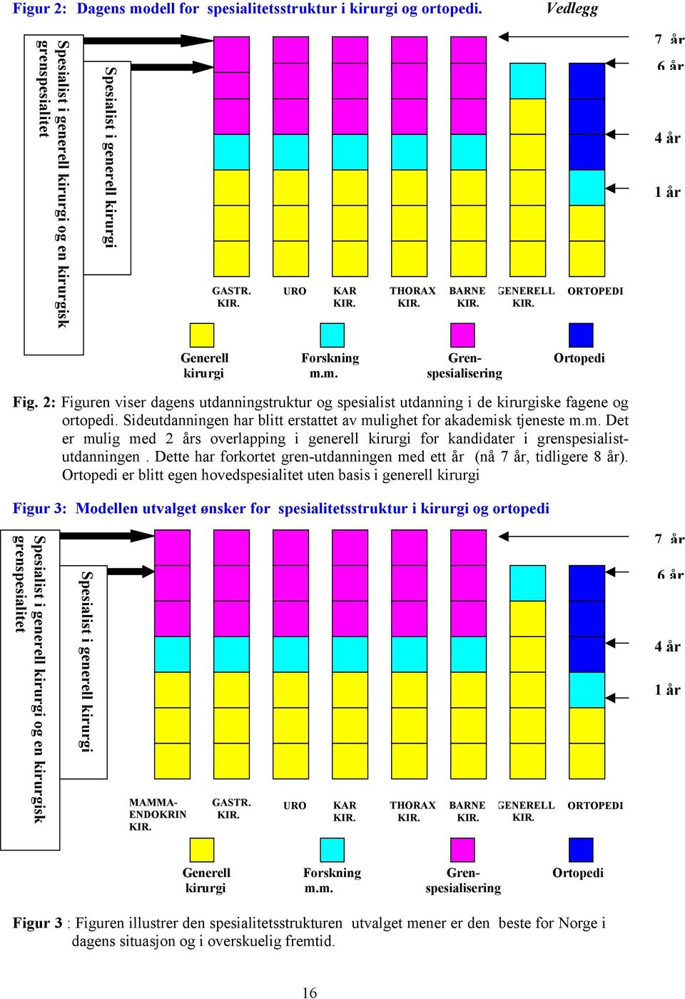 2: Figuren viser dagens utdanningstruktur og spesialist utdanning i de kirurgiske fagene og ortopedi. Sideutdanningen har blitt erstattet av mu