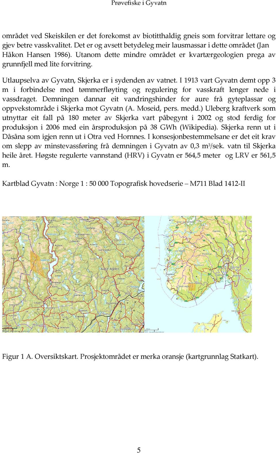 Utlaupselva av Gyvatn, Skjerka er i sydenden av vatnet. I 1913 vart Gyvatn demt opp 3 m i forbindelse med tømmerfløyting og regulering for vasskraft lenger nede i vassdraget.