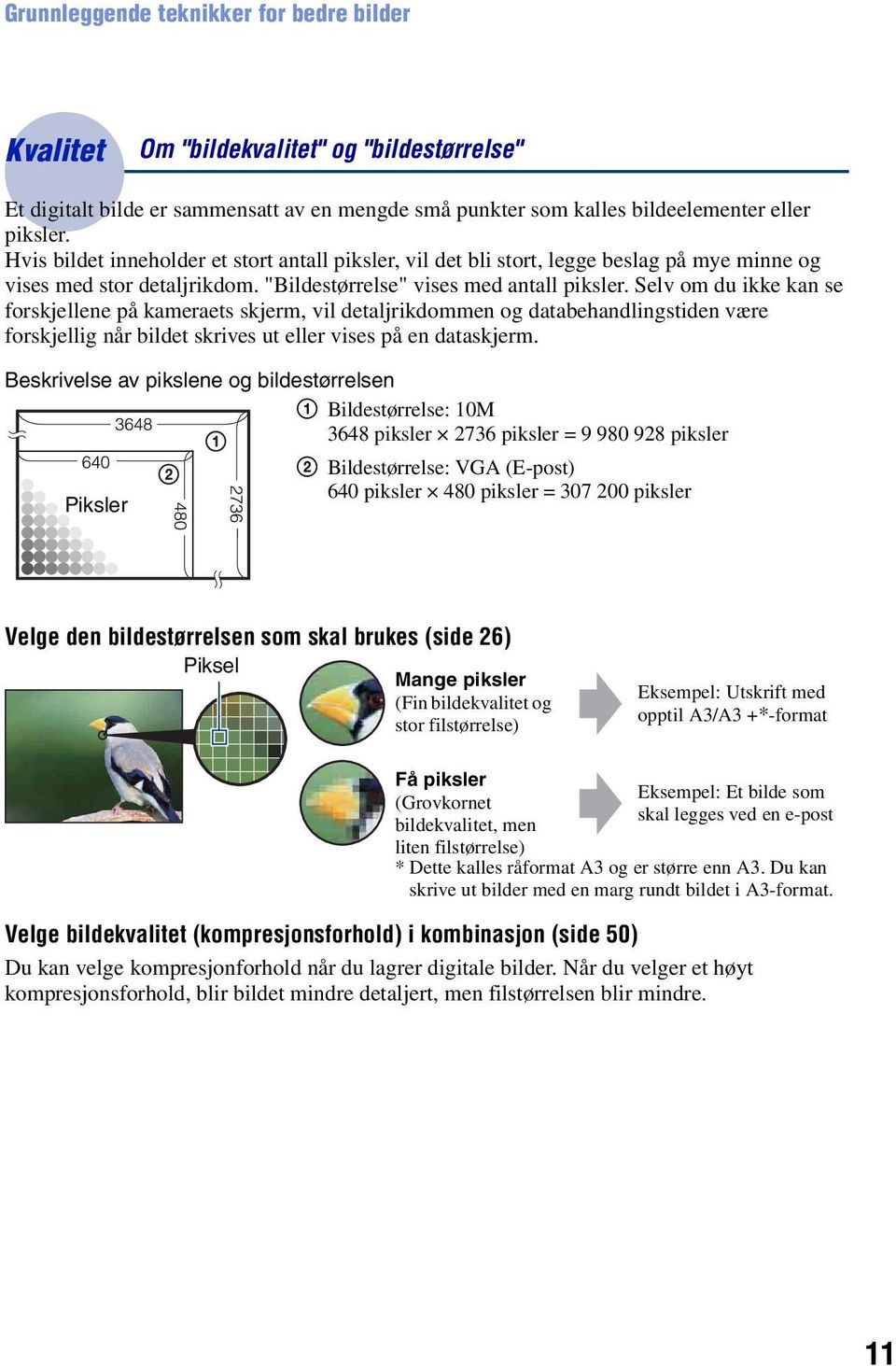 Selv om du ikke kan se forskjellene på kameraets skjerm, vil detaljrikdommen og databehandlingstiden være forskjellig når bildet skrives ut eller vises på en dataskjerm.