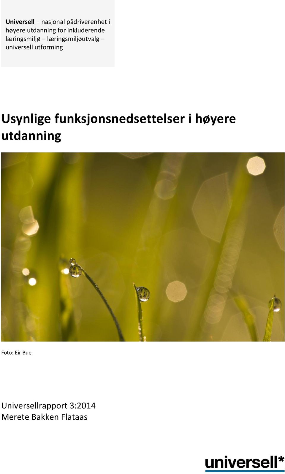 utforming Usynlige funksjonsnedsettelser i høyere