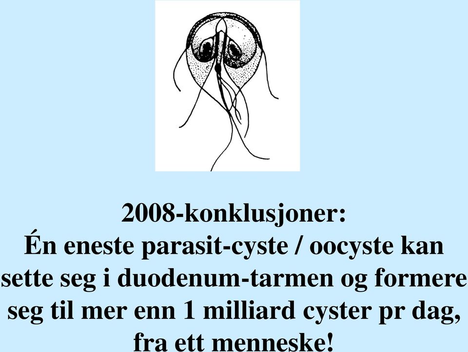 i duodenum-tarmen og formere seg til