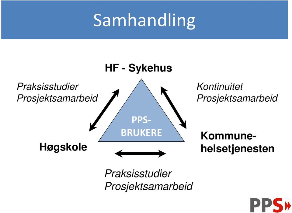 Praksisstudier Prosjektsamarbeid