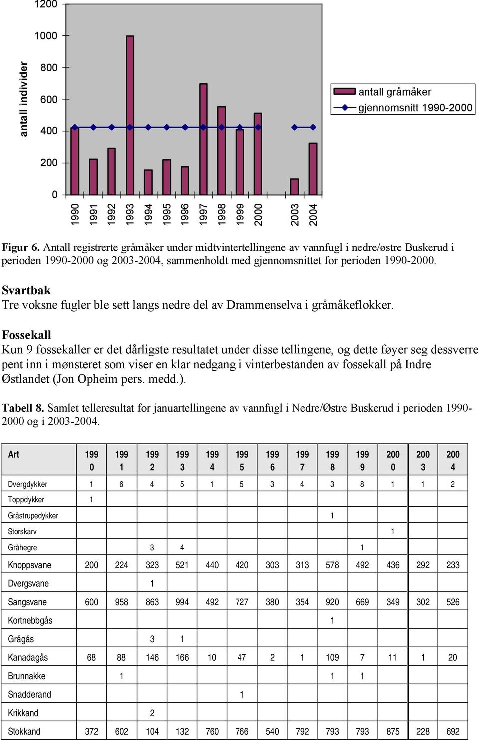 Svartbak Tre voksne fugler ble sett langs nedre del av Drammenselva i gråmåkeflokker.