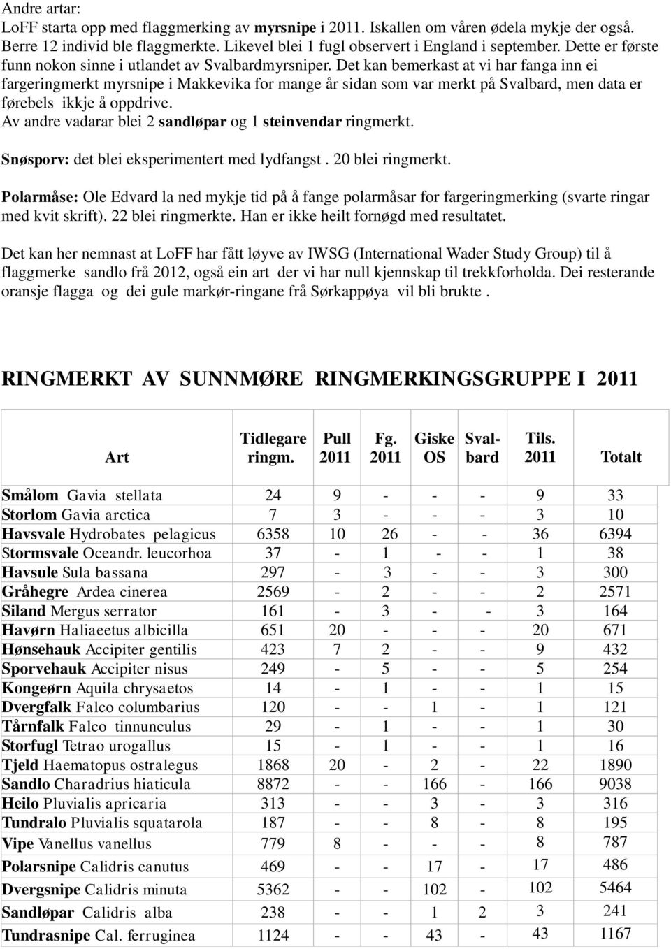 Det kan bemerkast at vi har fanga inn ei fargeringmerkt myrsnipe i Makkevika for mange år sidan som var merkt på Svalbard, men data er førebels ikkje å oppdrive.