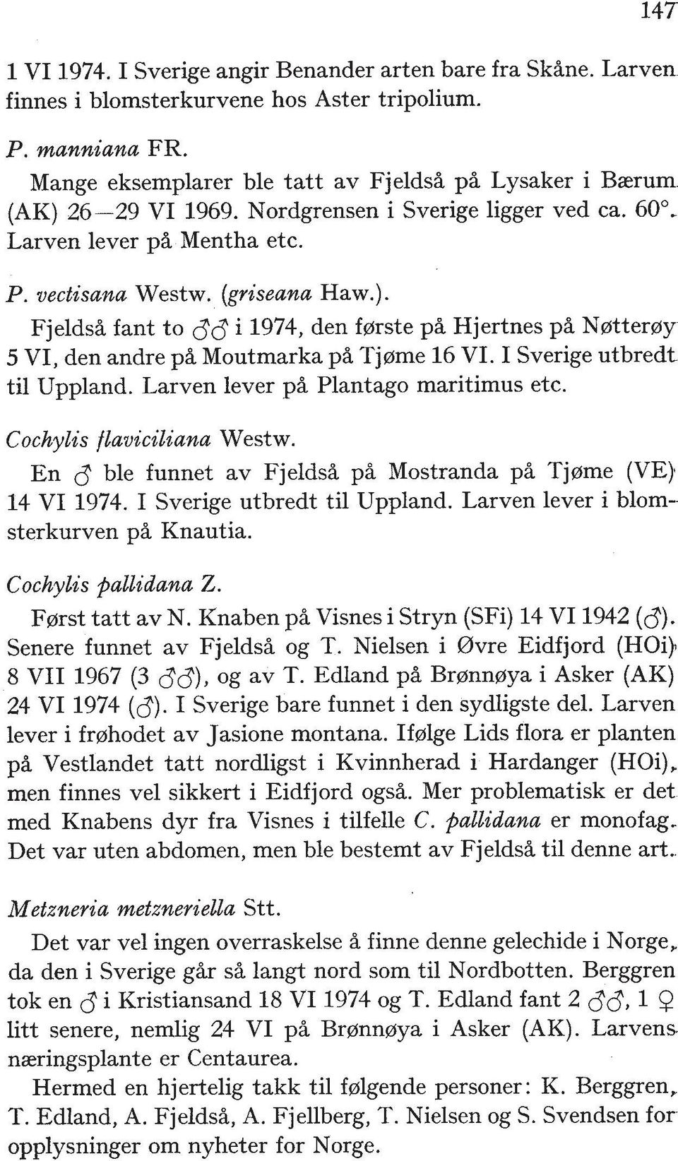 I Sverige utbredt ti1 Uppland. Larven lever ph Plantago maritimus etc. Cochylis flaviciliana Westw. En 8 ble funnet av Fjeldsh p% Mostranda ph Tjprme (VE) 14 VI 1974. I Sverige utbredt ti1 Uppland.