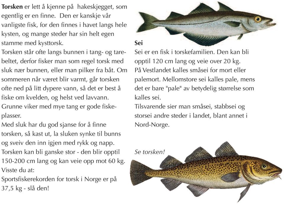 Om sommeren når været blir varmt, går torsken ofte ned på litt dypere vann, så det er best å fiske om kvelden, og helst ved lavvann. Grunne viker med mye tang er gode fiskeplasser.