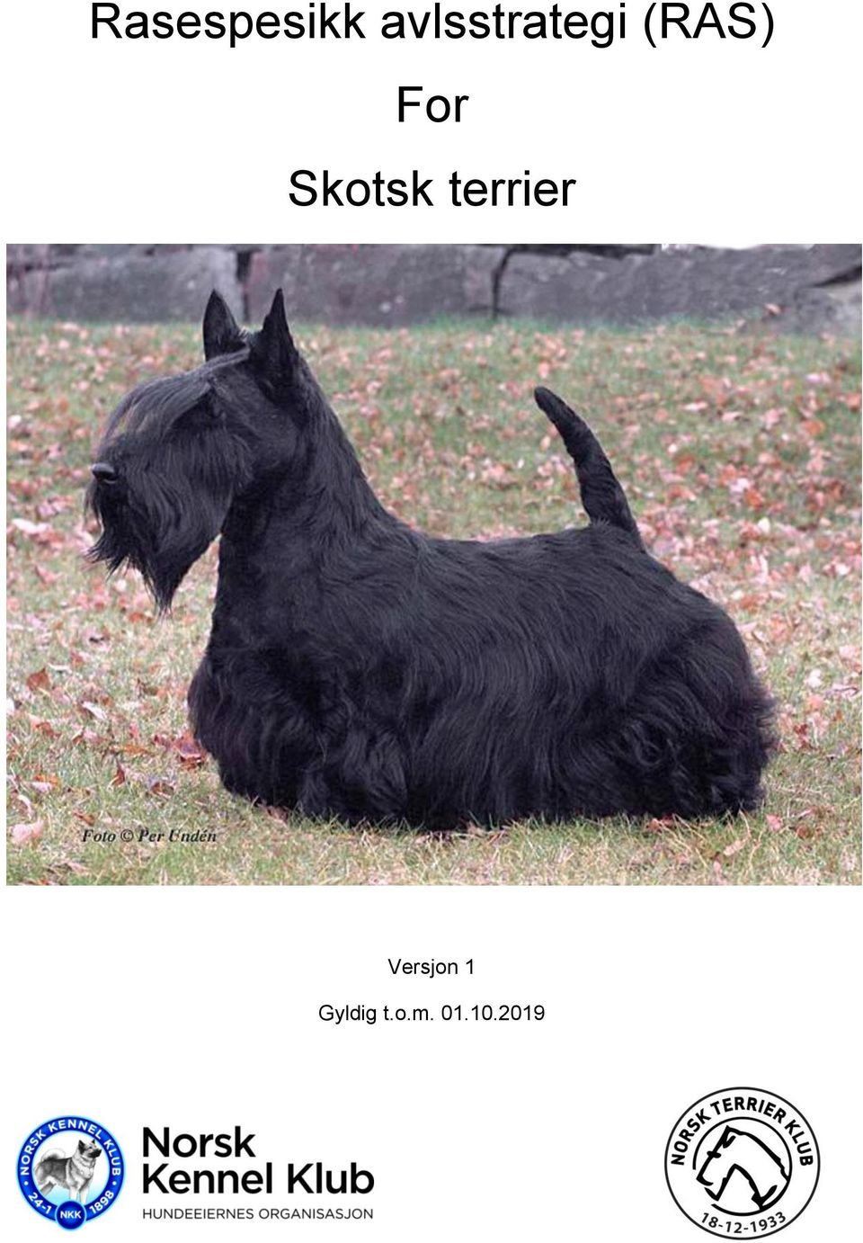 For Skotsk terrier