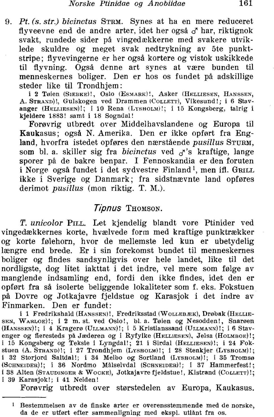 punktstripe; flyvevingerne er her ogsi kortere og vistok uskikkede ti1 flyvning. Ogsd denne art synes at vzre bunden ti1 menneskernes boliger.