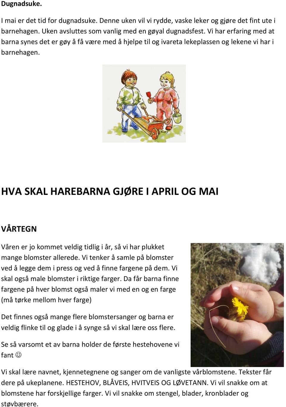 HVA SKAL HAREBARNA GJØRE I APRIL OG MAI VÅRTEGN Våren er jo kommet veldig tidlig i år, så vi har plukket mange blomster allerede.