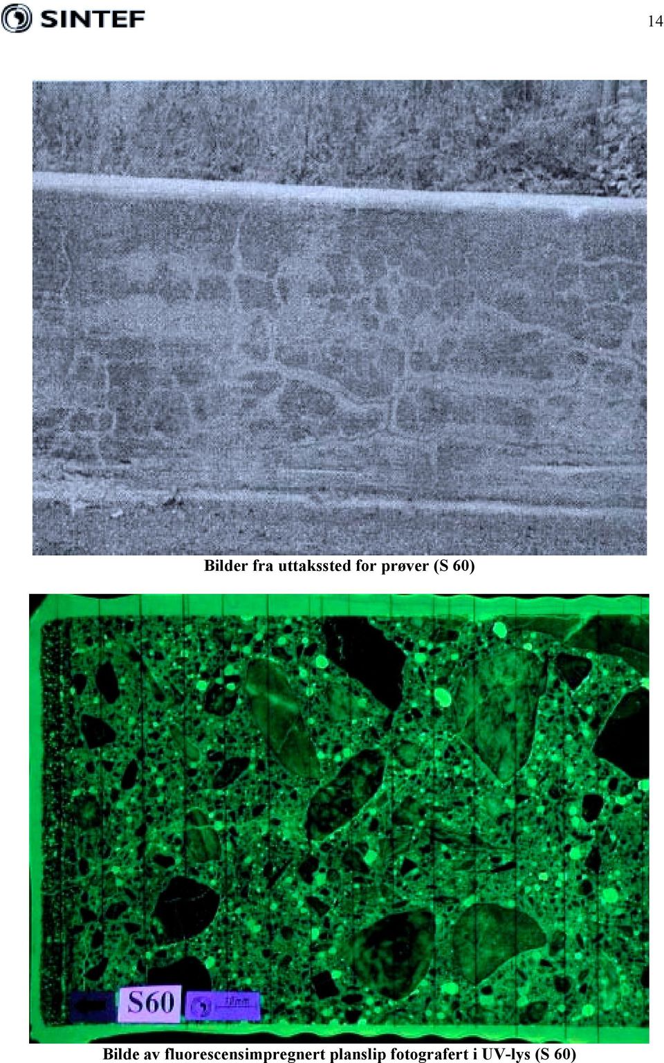 fluorescensimpregnert