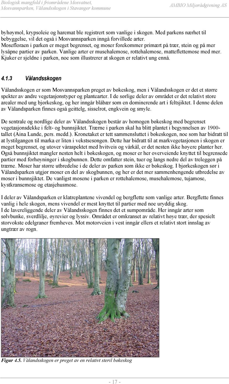 Kjuker er sjeldne i parken, noe som illustrerer at skogen er relativt ung ennå. 4.1.